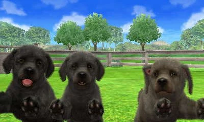 nintendogs